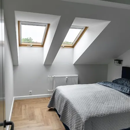 Apartament Senamiescio Apartamentai Kłajpeda